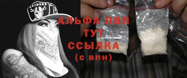 PSILOCYBIN Бронницы